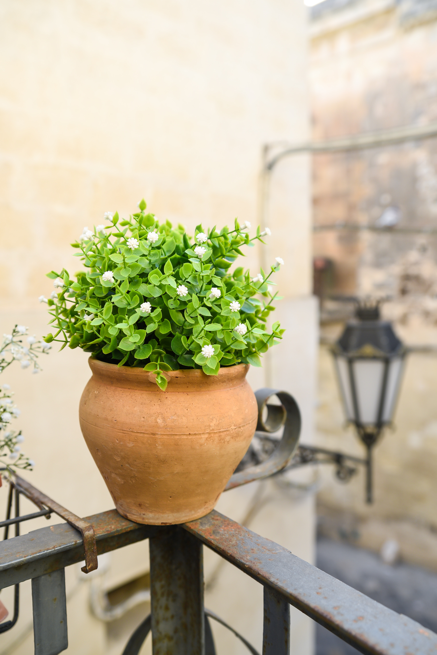 Bnb lecce, appartamento centro storico lecce, casa vacanze lecce. Camera matrimoniale lecce. Hotel a Lecce. B&b lecce. Bnb Lecce. bad and breakfast lecce, bed and breakfast a Lecce.